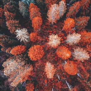 Meet your Posher, Diana